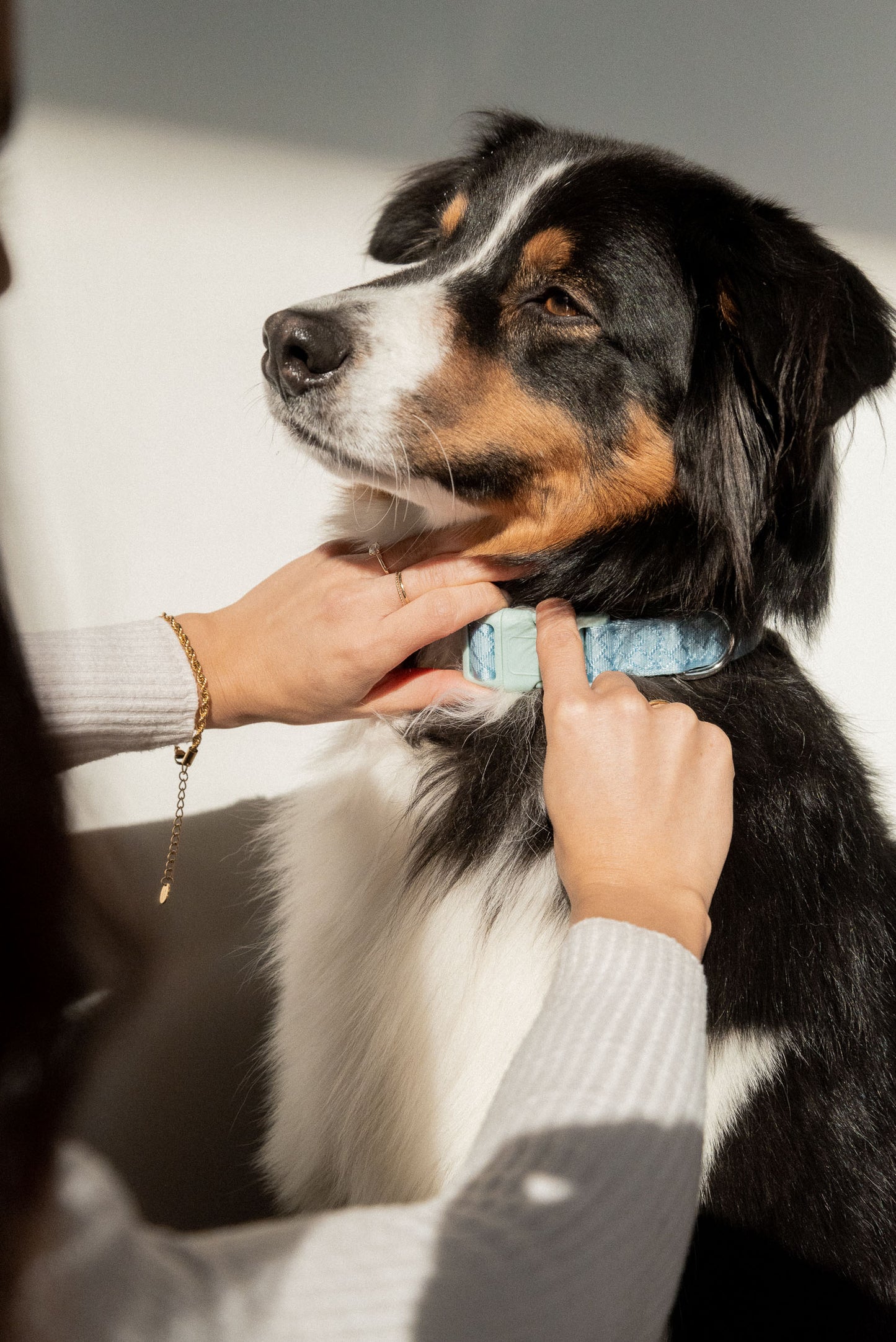 Cloud Daily Collar 