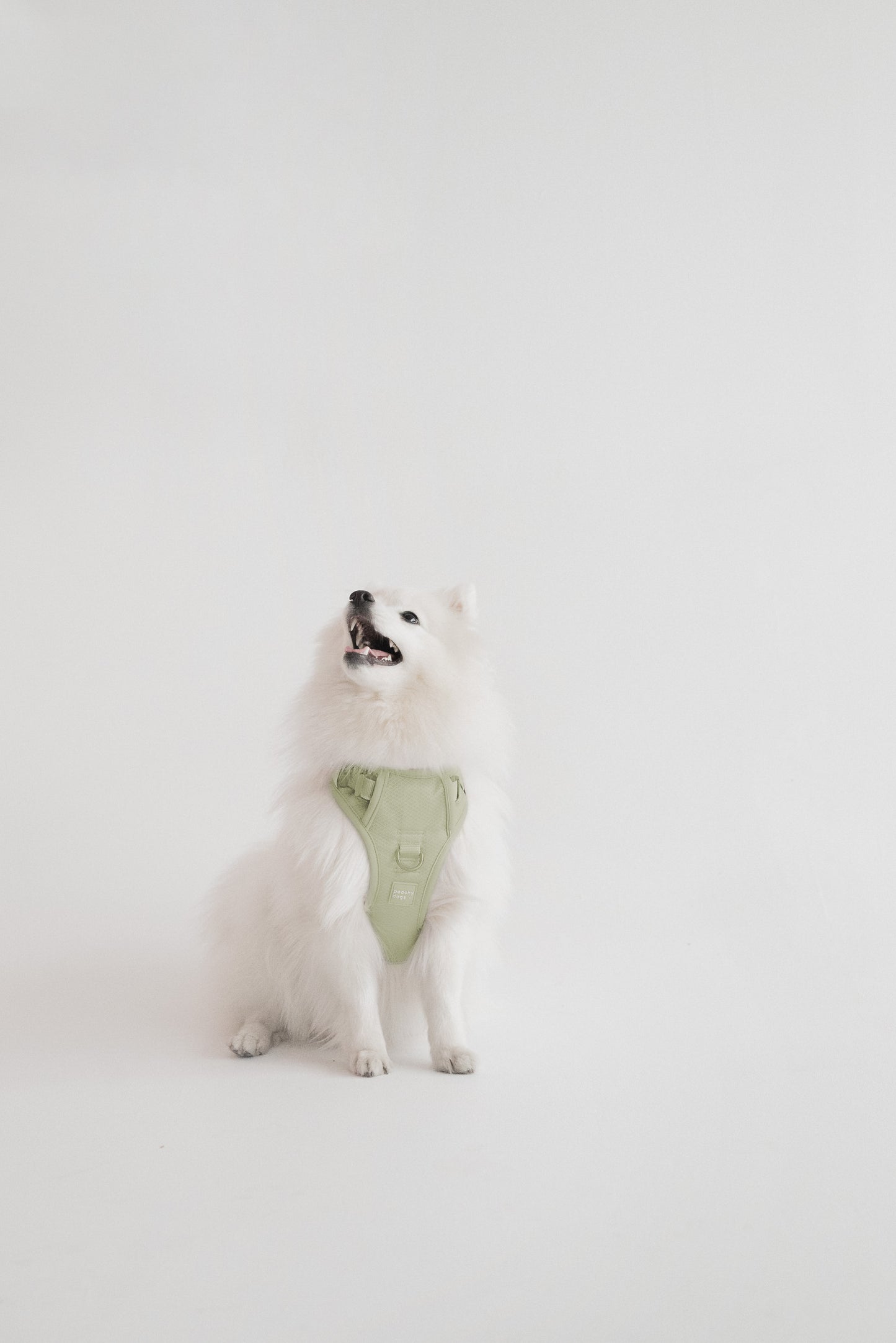 Matcha Harness