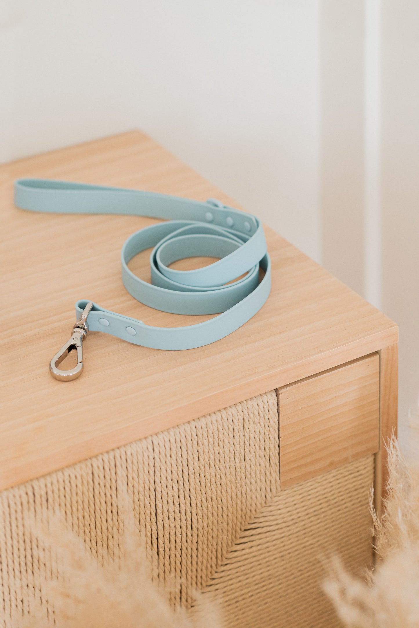 Cloud Waterproof Leash