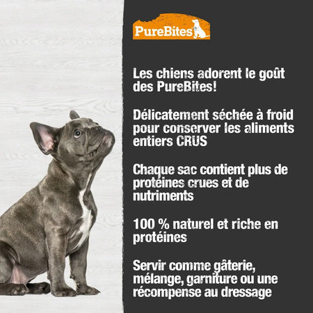 PureBites - Canard 74g PureBites