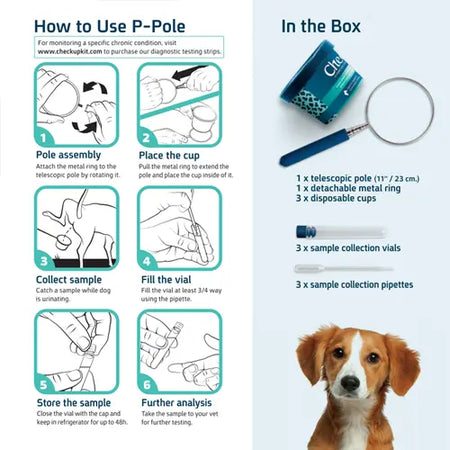 CheckUp - P-Pole Collecte Urine CheckUp