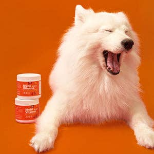 PetPal - Gâteries molles à mâcher multivitamines pour chiens - Complément pour animaux de compagnie