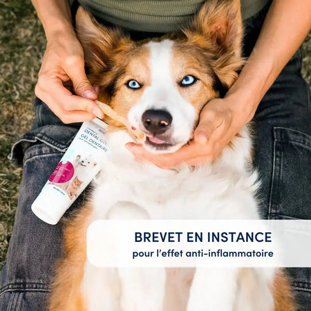 Animora - Gel Dentaire Canneberges pour chien Animora