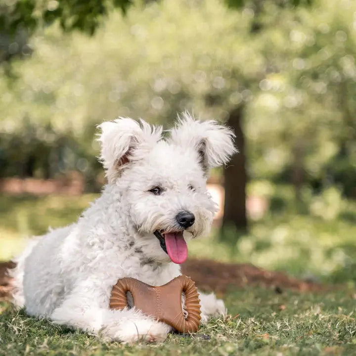 Benebone Dental Chew - Variété de tailles pour chien Benebone