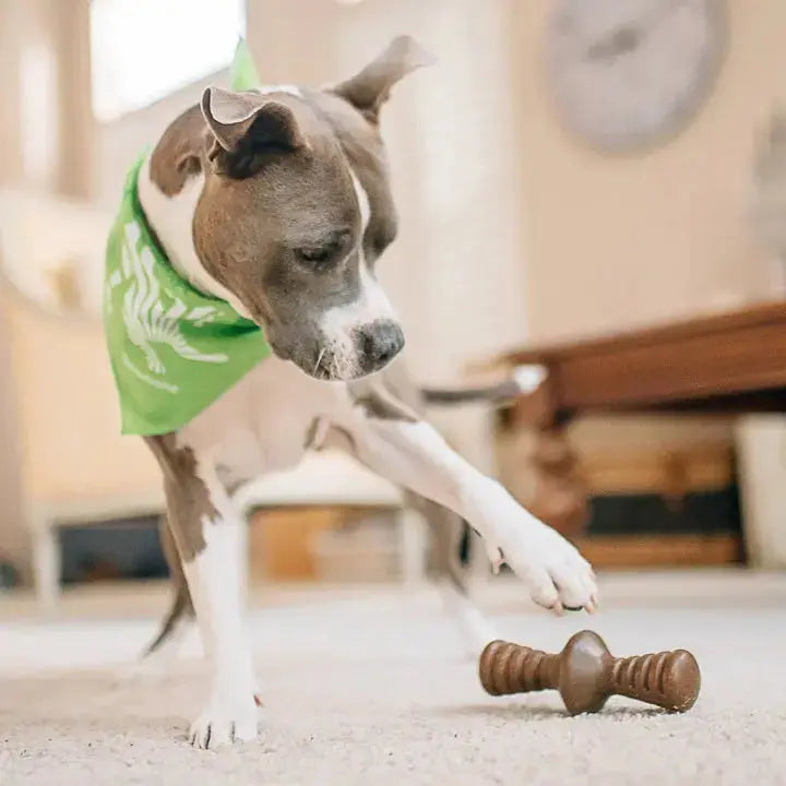 Benebone Zaggler - Variétés disponibles pour chien Benebone