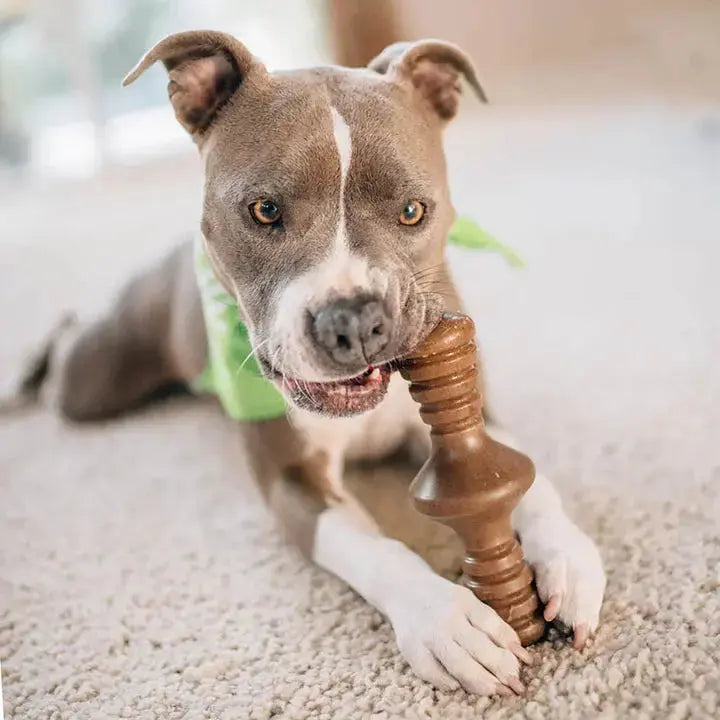 Benebone Zaggler - Variétés disponibles pour chien Benebone