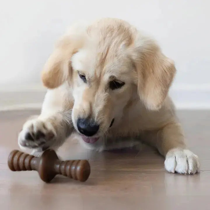 Benebone Zaggler - Variétés disponibles pour chien Benebone