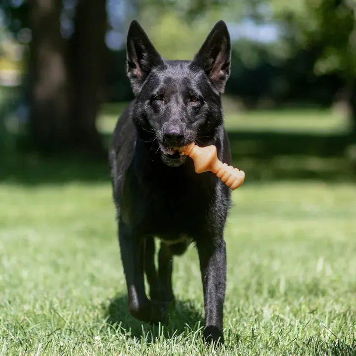 Benebone Zaggler - Variétés disponibles pour chien Benebone