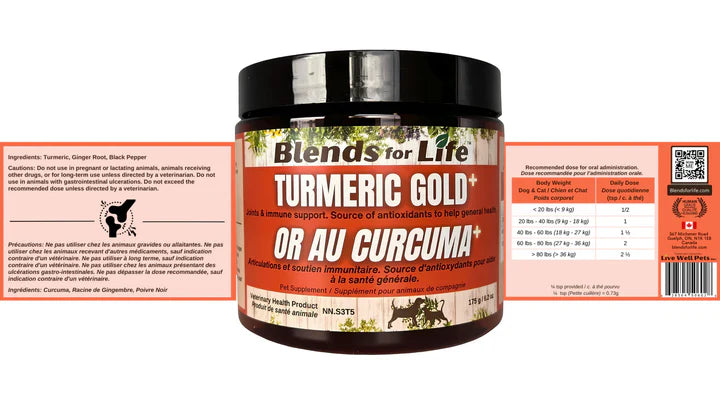 Blend For Life - Or au Curcuma