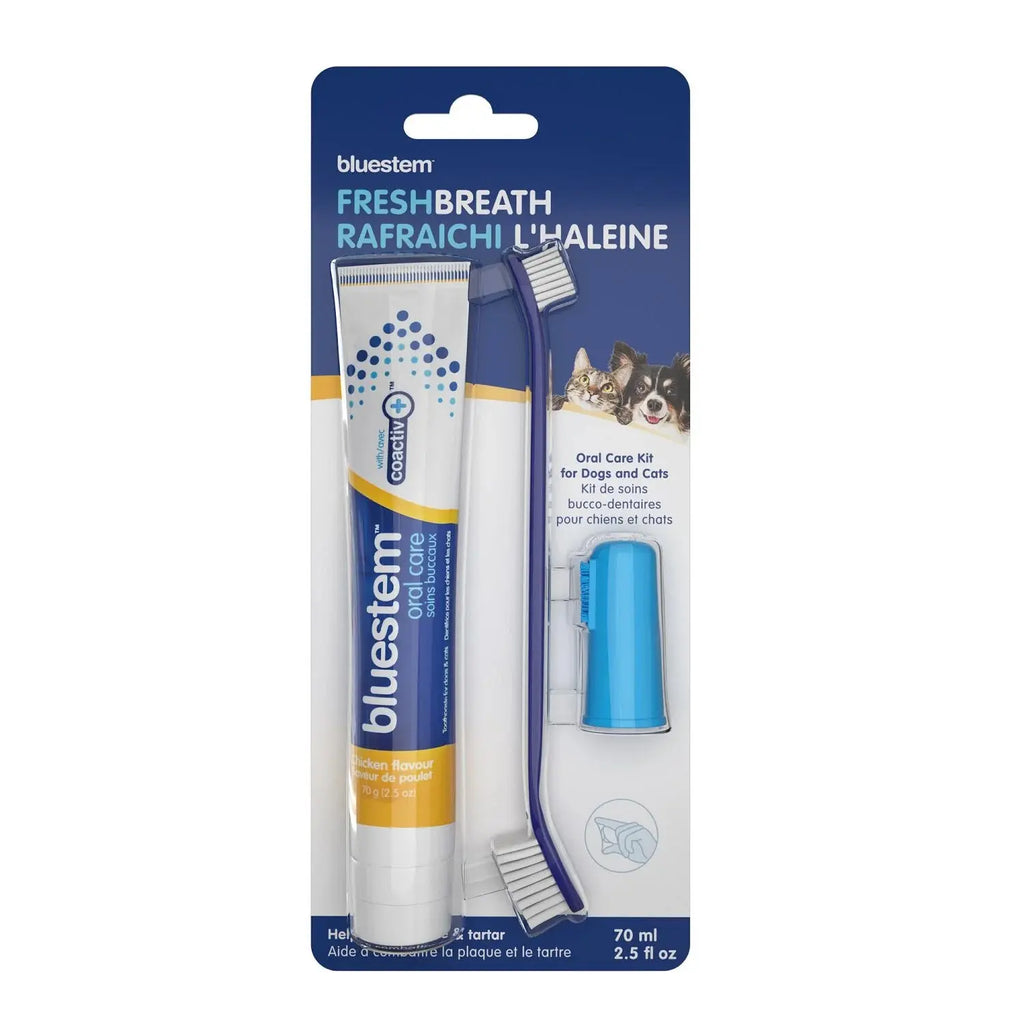 Bluestem - Oral Care Kit - Variétés de Saveur Bluestem