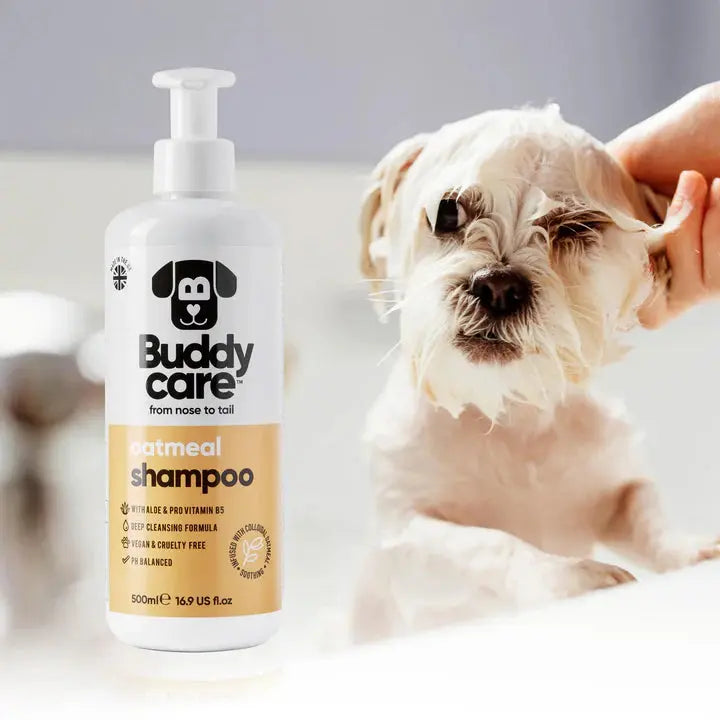 Buddy Care - Shampoing pour Chien Anti-Puce, Apaisant, Désodorisant Buddy Care