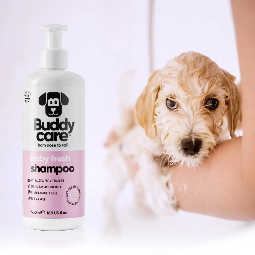 Buddy Care - Shampoing pour Chien Anti-Puce, Apaisant, Désodorisant Buddy Care