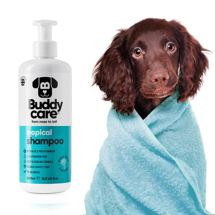 Buddy Care - Shampoing pour Chien Anti-Puce, Apaisant, Désodorisant Buddy Care