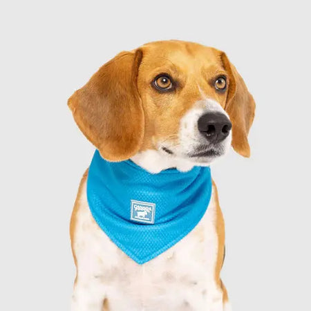 Canada Pooch Bandana et Refroidissant Bandana Collection Canada Pooch