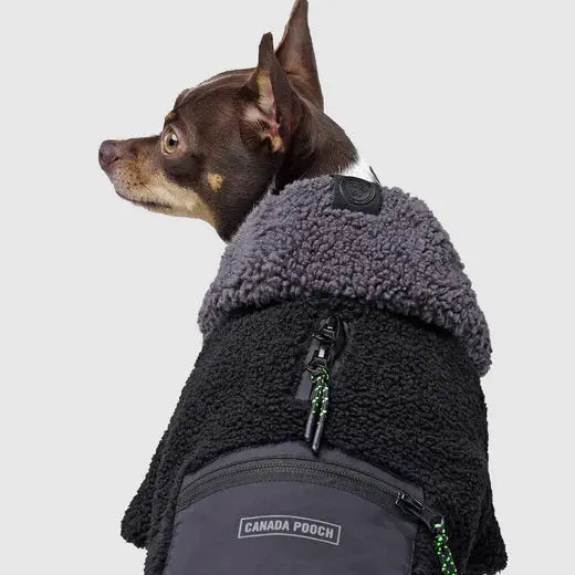 Canada Pooch CoolFactor Hoodie - Noir/Gris, Red Plaid, Rose/Mauve Canada Pooch