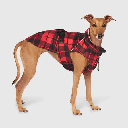 Canada Pooch Expedition Manteau pour chien Canada Pooch