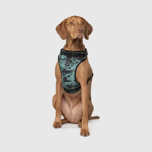 Canada Pooch - Harnais pour chien Everything Harness Canada Pooch