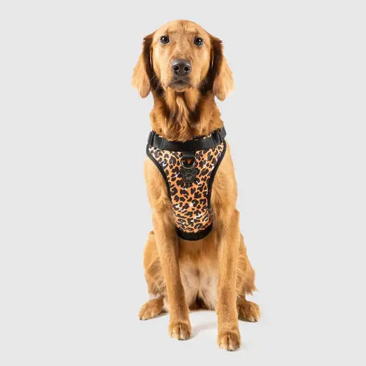 Canada Pooch - Harnais pour chien Everything Harness Canada Pooch