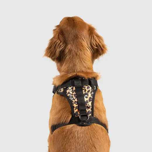 Canada Pooch - Harnais pour chien Everything Harness Canada Pooch