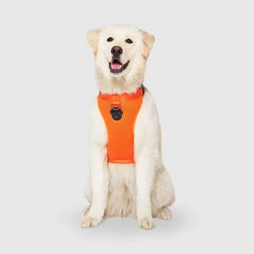 Canada Pooch - Harnais pour chien Everything Harness Canada Pooch