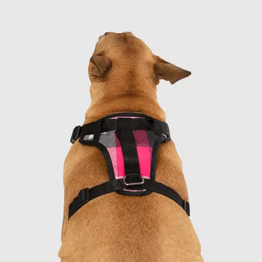 Canada Pooch - Harnais pour chien Everything Harness Canada Pooch