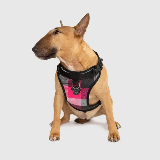 Canada Pooch - Harnais pour chien Everything Harness Canada Pooch