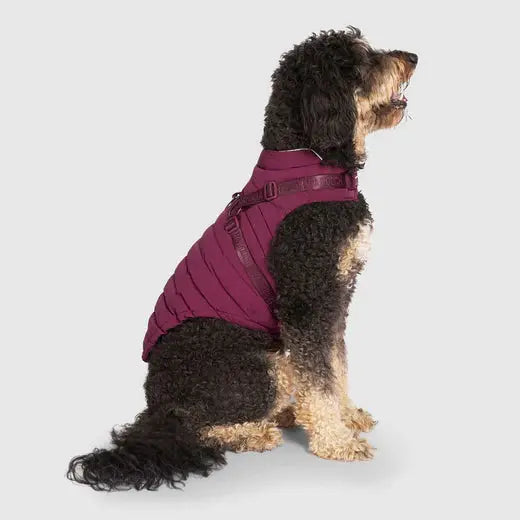 Canada Pooch Harness Harnais Puffer - Noir & Plum Canada Pooch