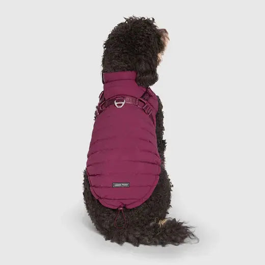 Canada Pooch Harness Harnais Puffer - Noir & Plum Canada Pooch