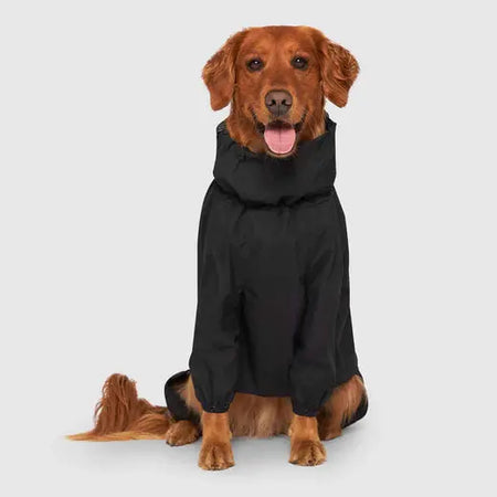 Canada Pooch Slush Suit & SnowSuit - Noir Canada Pooch