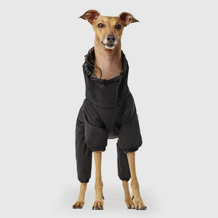 Canada Pooch Slush Suit & SnowSuit - Noir Canada Pooch