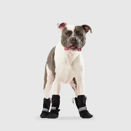 Canada Pooch - Soft Shield Boots Noir Canada Pooch