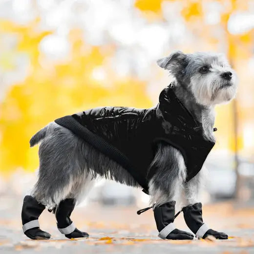 Canada Pooch - Soft Shield Boots Black