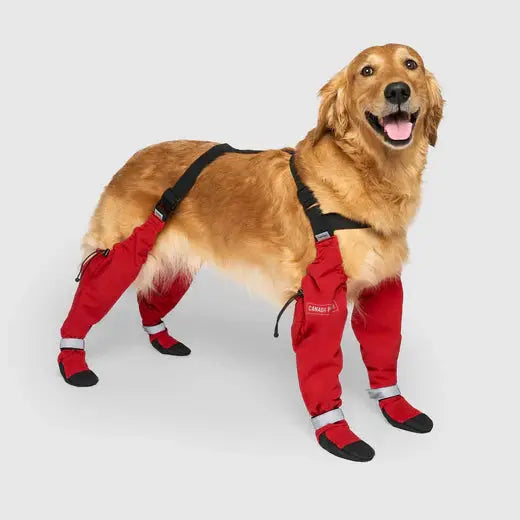 Canada Pooch - Suspender Dog Boots