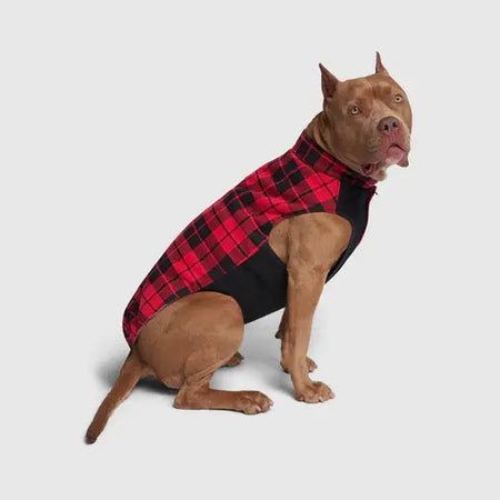 Canada Pooch Thermal Tech Sweater - Red Plaid Canada Pooch