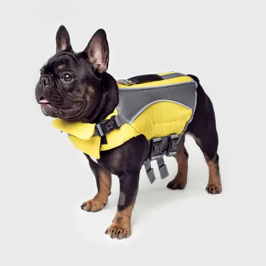 Canada Pooch Wave Rider - Gilet Sauvetage Canada Pooch