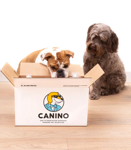 Canino - Nourriture crue de haute qualité pour chien 40lbs Canino