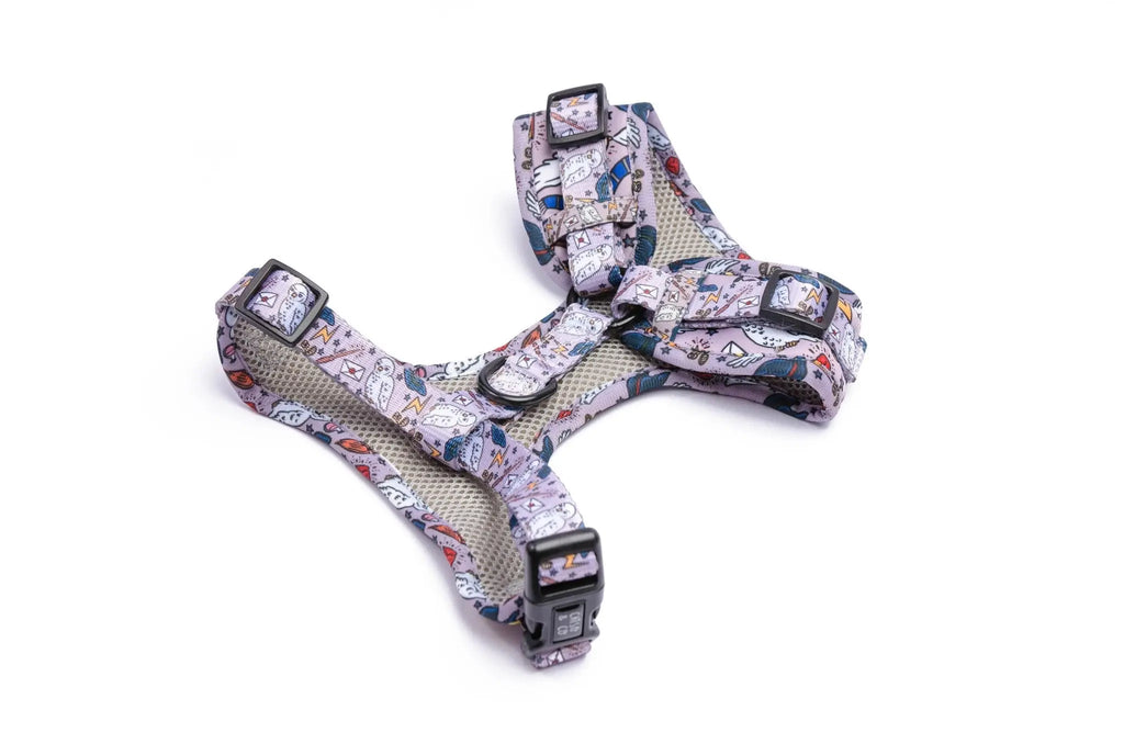 Abracadabra - Adjustable harness NEW - Catso & co