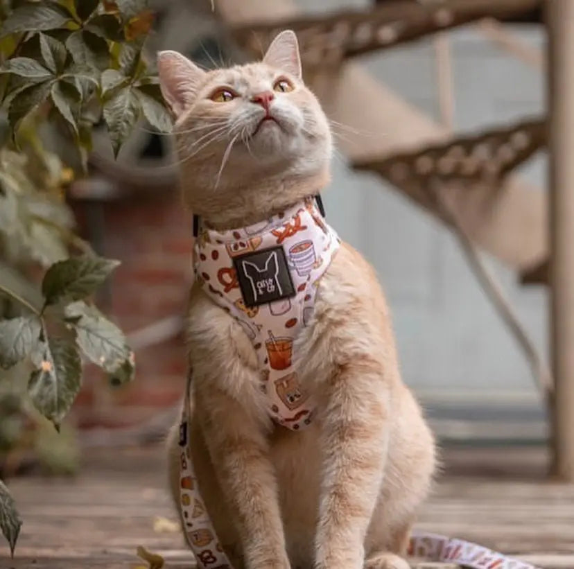 Coffee & bark-ery - Adjustable harness - Catso & co