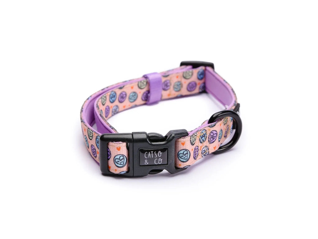 Sugar rush - adjustable collar - Catso & co