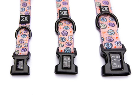 Sugar rush - adjustable collar - Catso & co