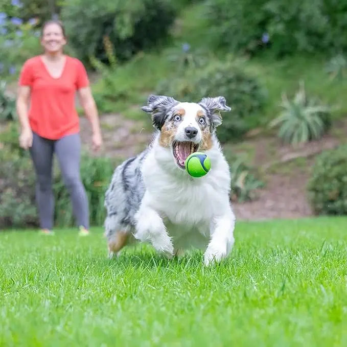 Chuck It - Sniff Fetch Balle Bacon & Beurre de Peanut pour chien ChuckIt