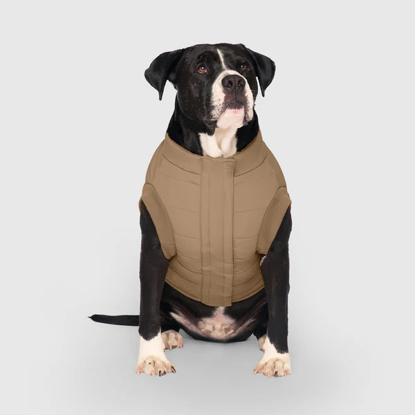 Canada Pooch - Cool Factor Puffer Jacket et Hoodie pour chien