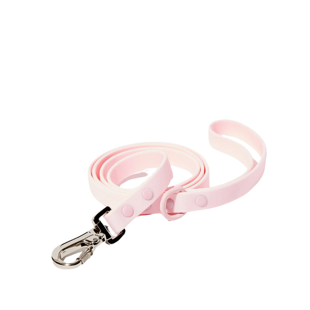 Waterproof leash 