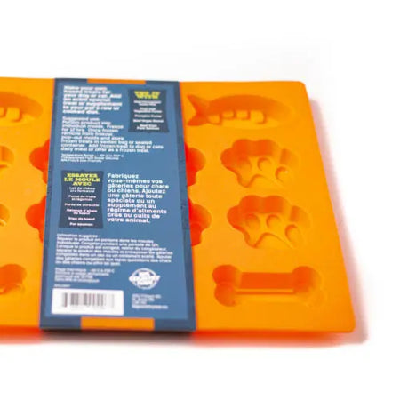 Moule Silicone Gros Poisson Patte Os Big Country Raw