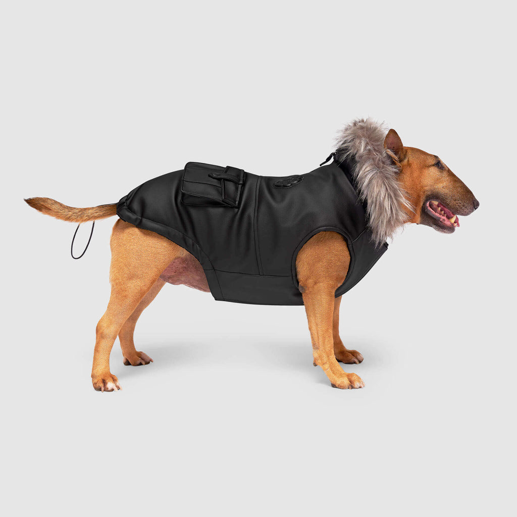 Canada Pooch - Eco+ Alaskan Army Parka - Black