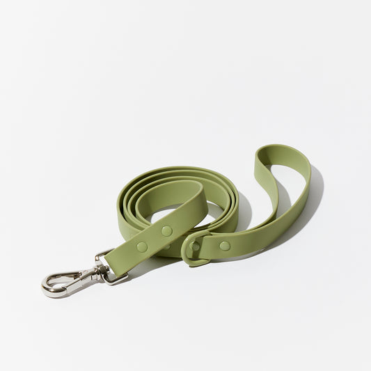 Matcha Waterproof Leash