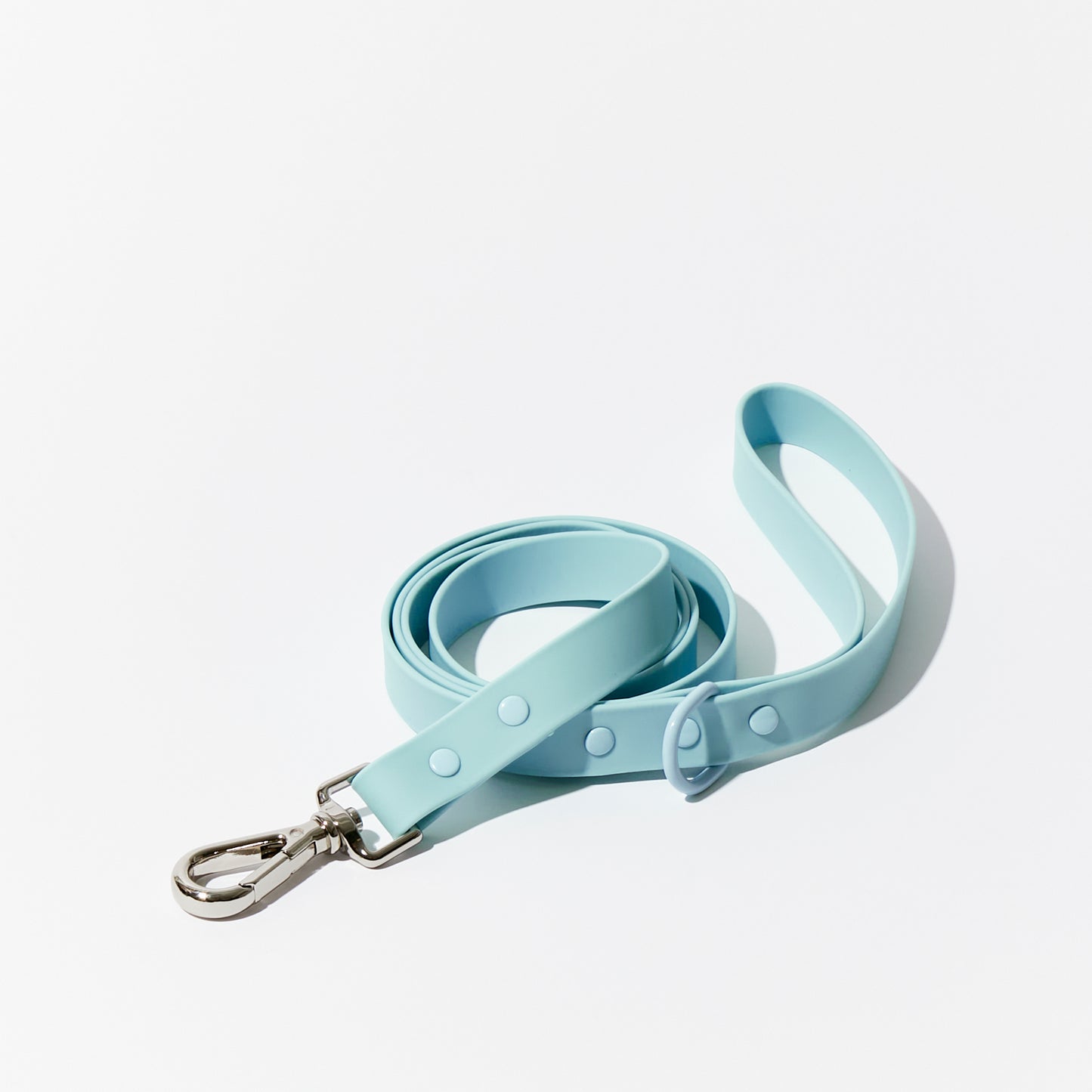 Cloud Waterproof Leash