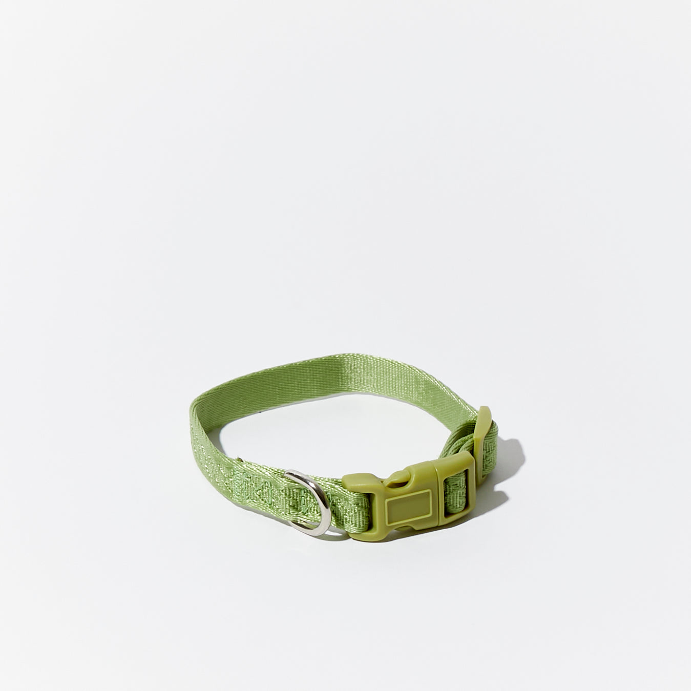 Matcha Daily Collar 