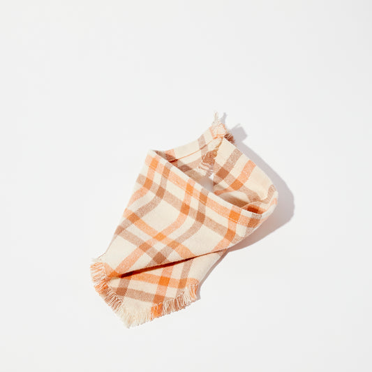 Apricot and Rust Bandana