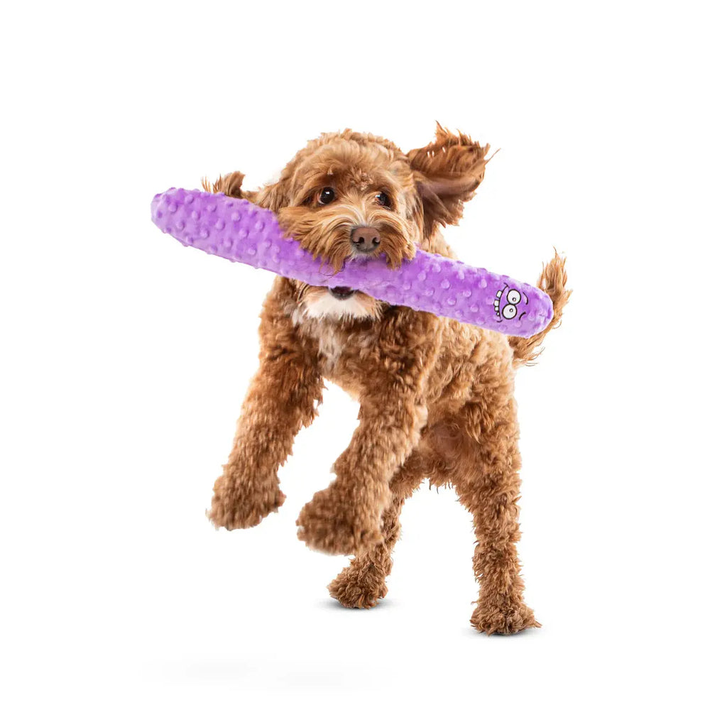 Guru - Fry Guys - Jouets pour chien Guru